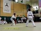 wmv Video 2386Kb
