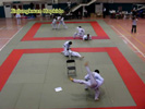 wmv Video 2980Kb